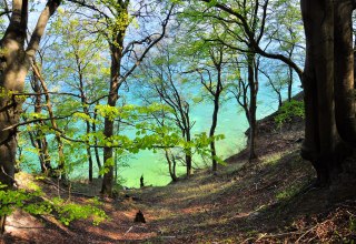 © Nationalparkamt Vorpommern © Nationalparkamt Vorpommern