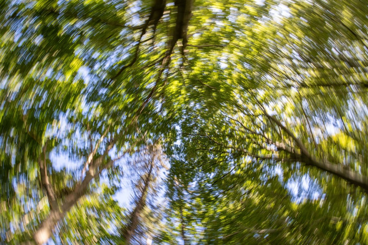 &copy; Kurverwaltung Goehren / Martin Stoever