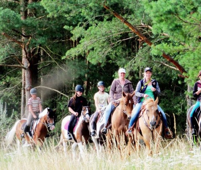 Mit der Reitanlage Mühlenberg tolle Ausritte durch die Lewitz erleben // © Reitanlage Mühlenberg/ Mario Mühlenberg Mit der Reitanlage Mühlenberg tolle Ausritte durch die Lewitz erleben // © Reitanlage Mühlenberg/ Mario Mühlenberg