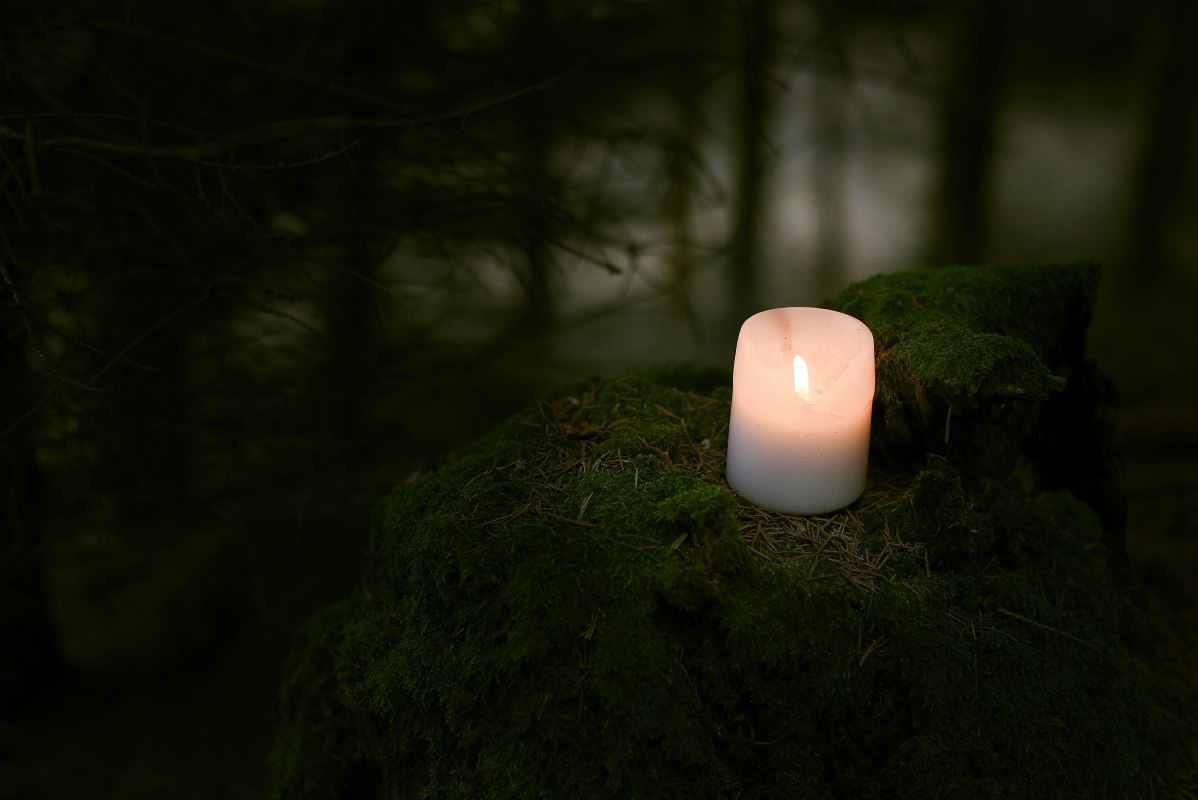 Kerze im Wald // © Kaja Kadlecova Kerze im Wald // © Kaja Kadlecova