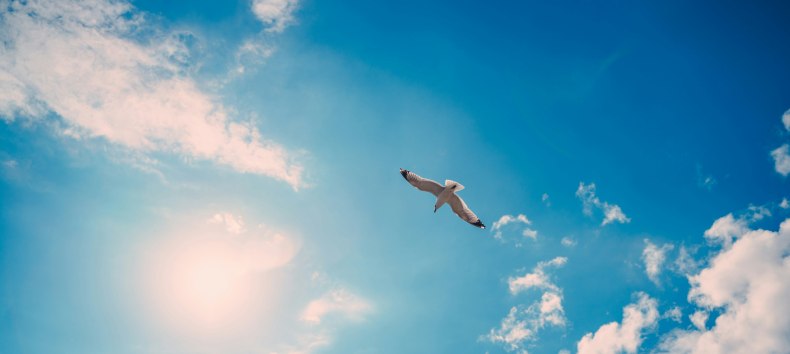 Fahrt ins Blaue – Überraschung garantiert! // © Foto von Artem Pechenkin auf Unsplash Fahrt ins Blaue – Überraschung garantiert! // © Foto von Artem Pechenkin auf Unsplash