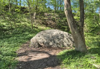 &copy; Gina Schulenberg