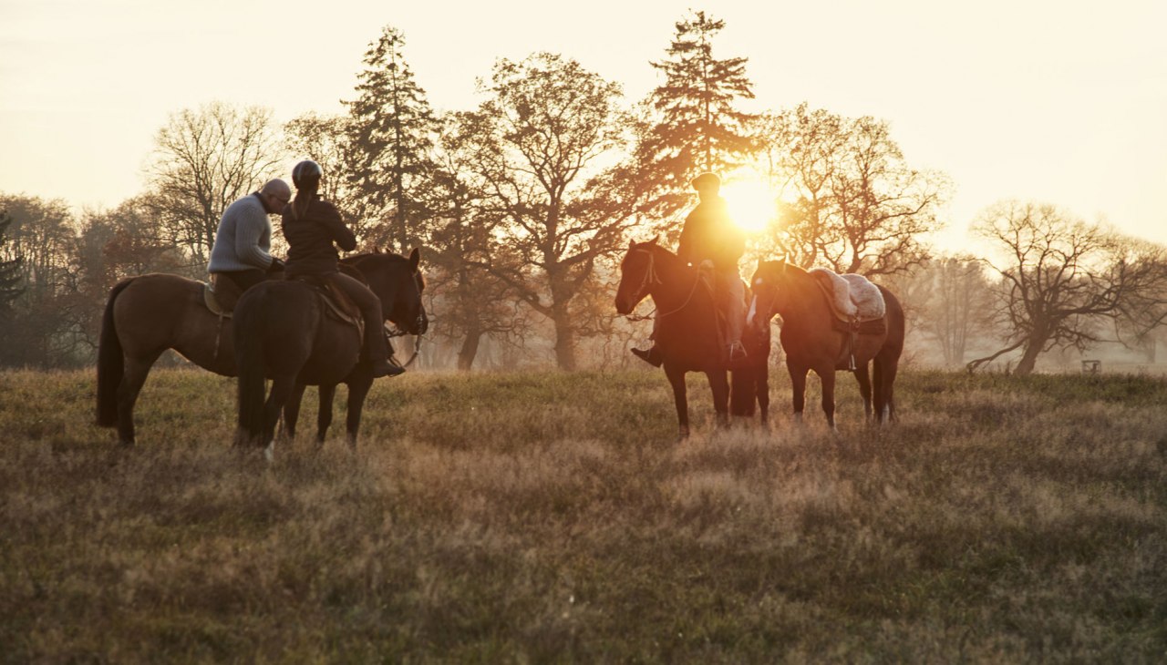 Ausritte im Western-Stil, © Cavalan Ausritte im Western-Stil, © Cavalan