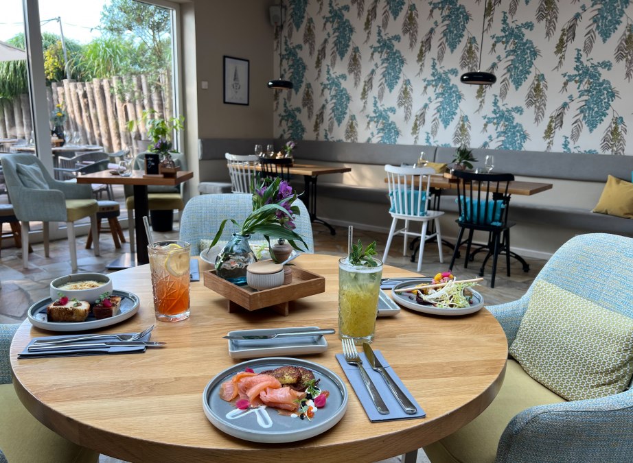 ZIMTZIEGE Ahrenshoop, &copy; TGA-27