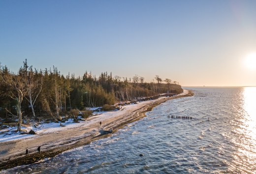 Winterliche Ruhe am Strand bei Torfbrücke: Verschneite Wälder, glitzernde Ostseewellen und eine malerische Küstenlandschaft laden zu einem Spaziergang ein., © TMV/Scholz-Witzel Winterlicher Strand bei Torfbrücke Graal-Müritz mit schneebedeckten Bäumen, glitzernder Ostsee und einem Sonnenuntergang am Horizont.