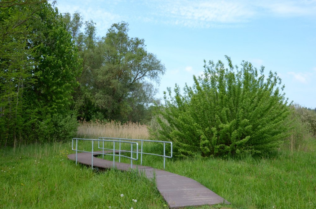 Der Start ist direkt vom Parkplatz Strelitzer Straße/Ortseingang möglich, © Kurverwaltung FSL Der Start ist direkt vom Parkplatz Strelitzer Straße/Ortseingang möglich, © Kurverwaltung FSL