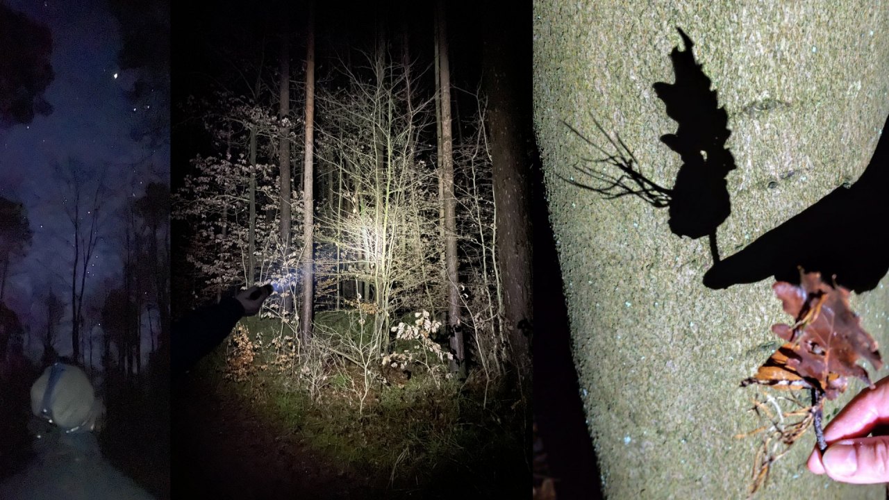 Taschenlampenwanderung, &copy; Britta Daedelow