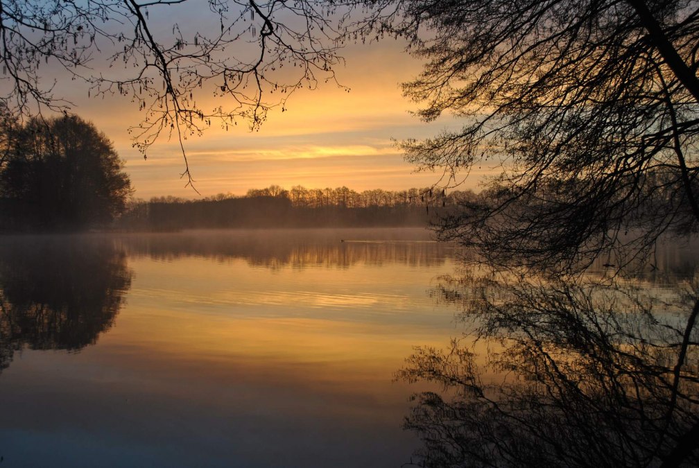 Am Ufer des Carwitzer See, © Ulrike Rosin Am Ufer des Carwitzer See, © Ulrike Rosin