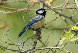 © Mathias Hipke © Mathias Hipke