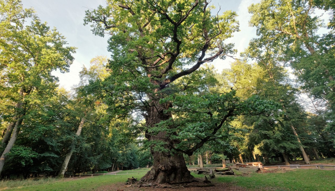 Die Tausendjährige, © Sebastian Haerter Die Tausendjährige, © Sebastian Haerter