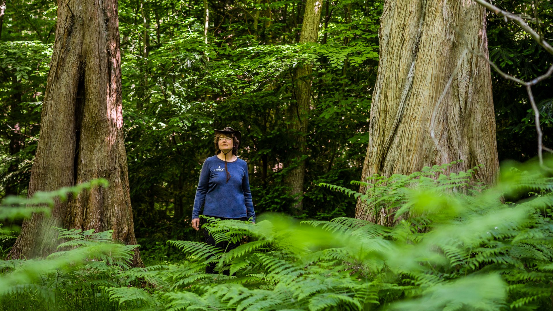 Wandelgids Sylva Juhnke bij de sequoia's in het Osterwald op Zingst.