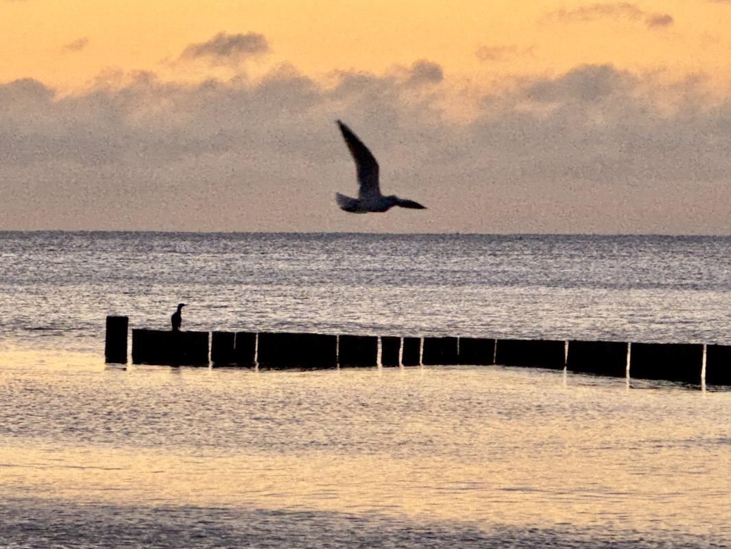 © 1 (2).jpeg © 1 (2).jpeg