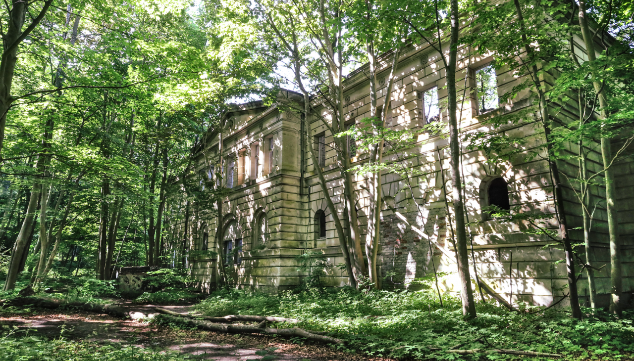 schlossruine-dwasieden_3, &copy; TMV/Gohlke