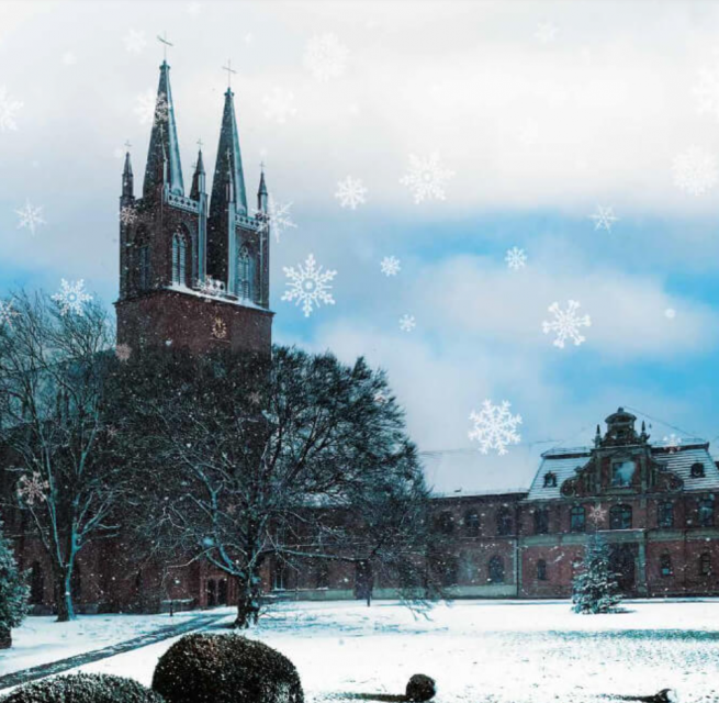 © https://kloster-dobbertin.de/events/adventsmarkt-dobbertin-2026-kloster-dobbertin-28-11/ © https://kloster-dobbertin.de/events/adventsmarkt-dobbertin-2026-kloster-dobbertin-28-11/