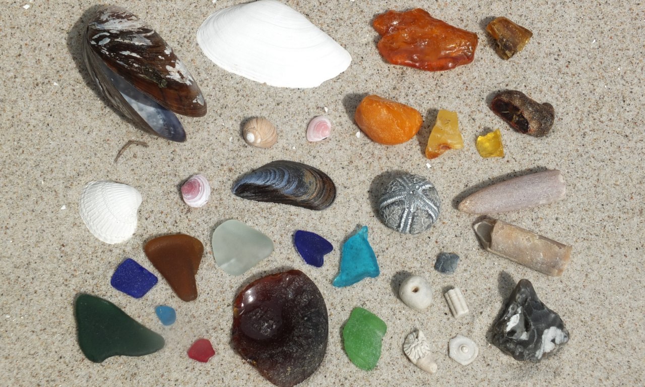 Strandvondsten van het Oostzeestrand // &copy; Martin Hagemann