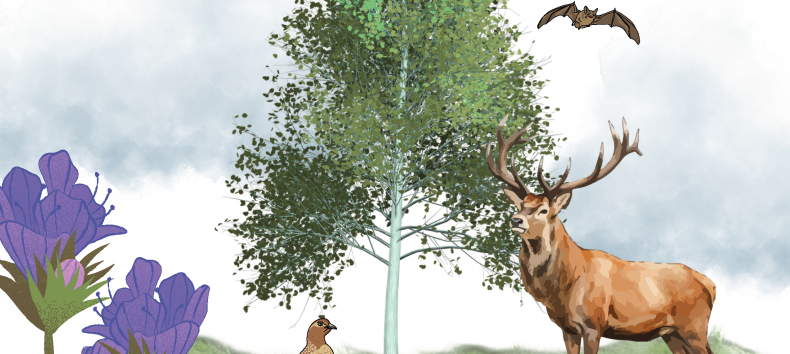 Grafik mit Canva erstellt, &copy; M&uuml;ritzeum