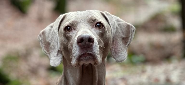 &copy; Erlebnis Akademie AG/NEZR