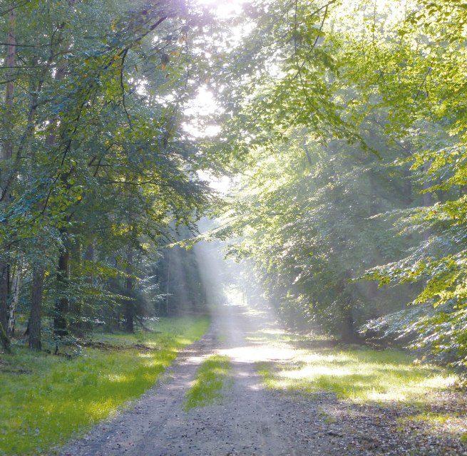 &copy; Stadt Ribnitz-Damgarten