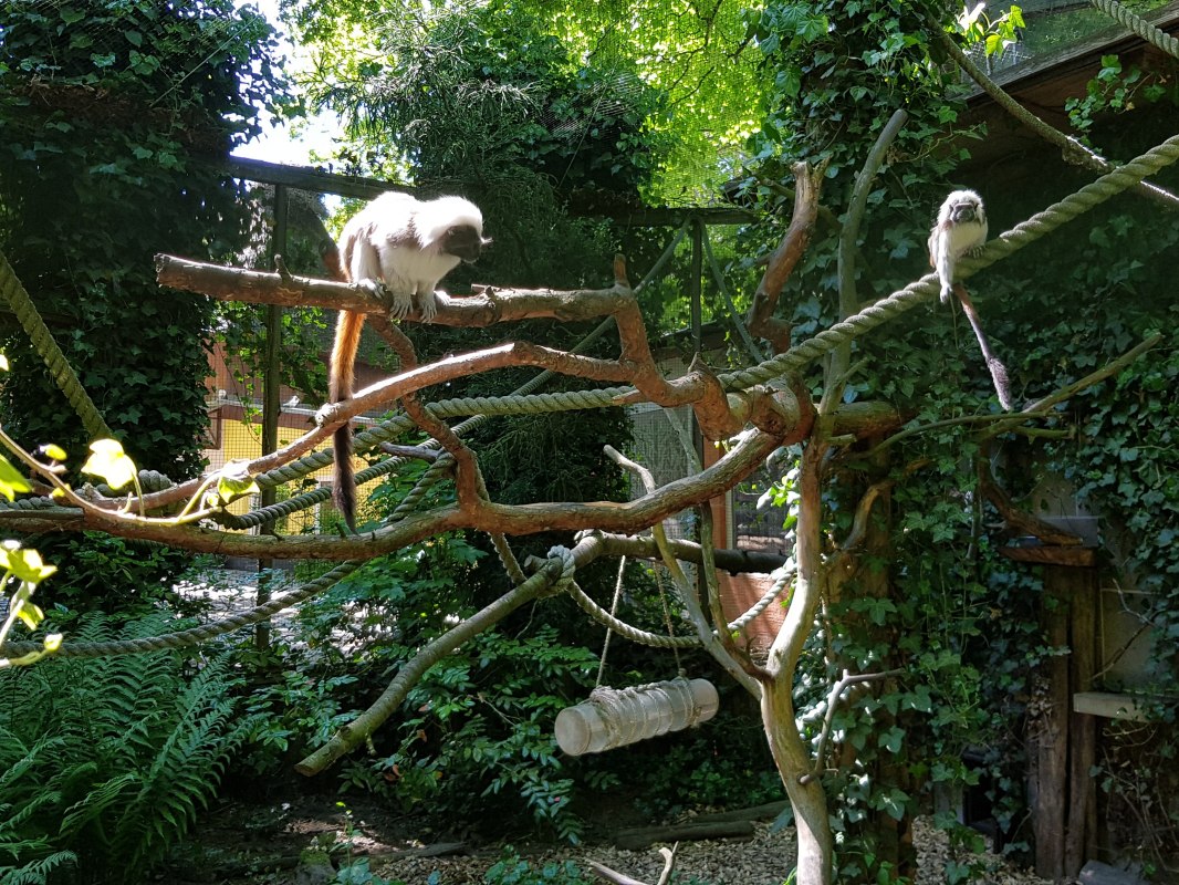 © Zoo Stralsund © Zoo Stralsund