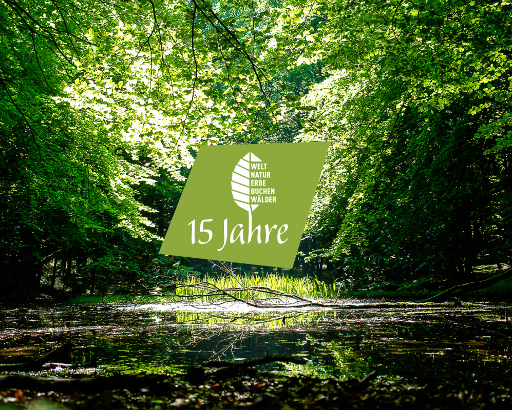 &copy; Nationalpark-Zentrum K&Ouml;NIGSSTUHL