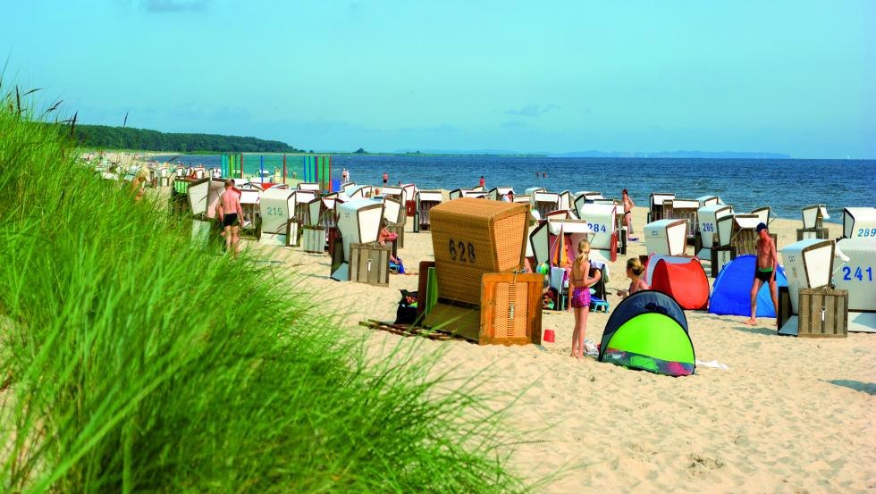 Bis zu 80m breiter Sandstrand in "Eieruhrqualit&auml;t", &copy; Kowitz