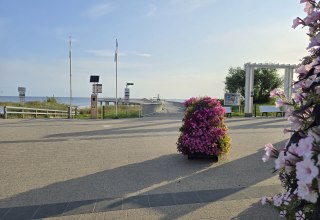 &copy; 20250807_073814.jpg