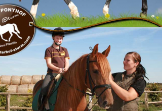 © Reiterhof Sturm © Reiterhof Sturm