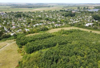 Klimawald Neubrandenburg-Nettelkuhl // © Landesforst MV Klimawald Neubrandenburg-Nettelkuhl // © Landesforst MV