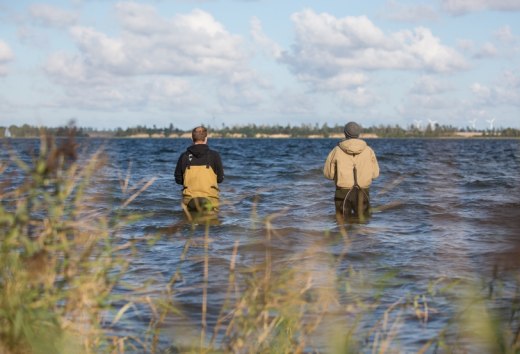 Gute Hecht-Hotspots erreicht man mit Wathose zum Beispiel im Großen Jasmunder Bodden, im Bereich der Wittower Fähre, im Kubitzer Bodden südlich von Barhöft oder im Greifswalder Bodden bei Tremt, © TMV/Läufer Gute Hecht-Hotspots erreicht man mit Wathose zum Beispiel im Großen Jasmunder Bodden, im Bereich der Wittower Fähre, im Kubitzer Bodden südlich von Barhöft oder im Greifswalder Bodden bei Tremt, © TMV/Läufer