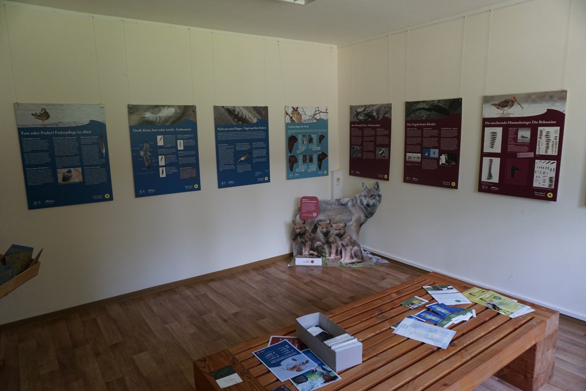 Die Ausstellung &bdquo;V&ouml;gel und ihre Federn&ldquo; informiert &uuml;ber V&ouml;gel, die im Nationalpark heimisch sind. // &copy; Wiebke D&ouml;bbert