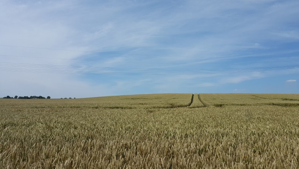 Wege bis zum Horizont // © MV-T/UB Wege bis zum Horizont // © MV-T/UB
