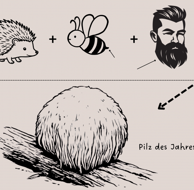 &copy; M&uuml;ritzeum