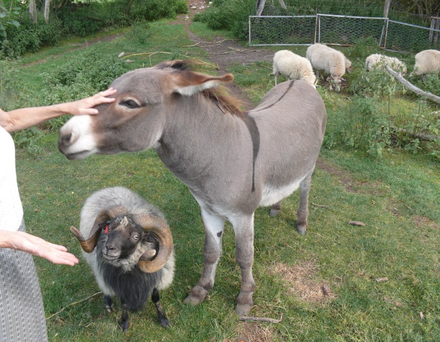 Pfundgrube Gutshaus Rambow Hof, © Peter Ramsch Pfundgrube Gutshaus Rambow Hof, © Peter Ramsch