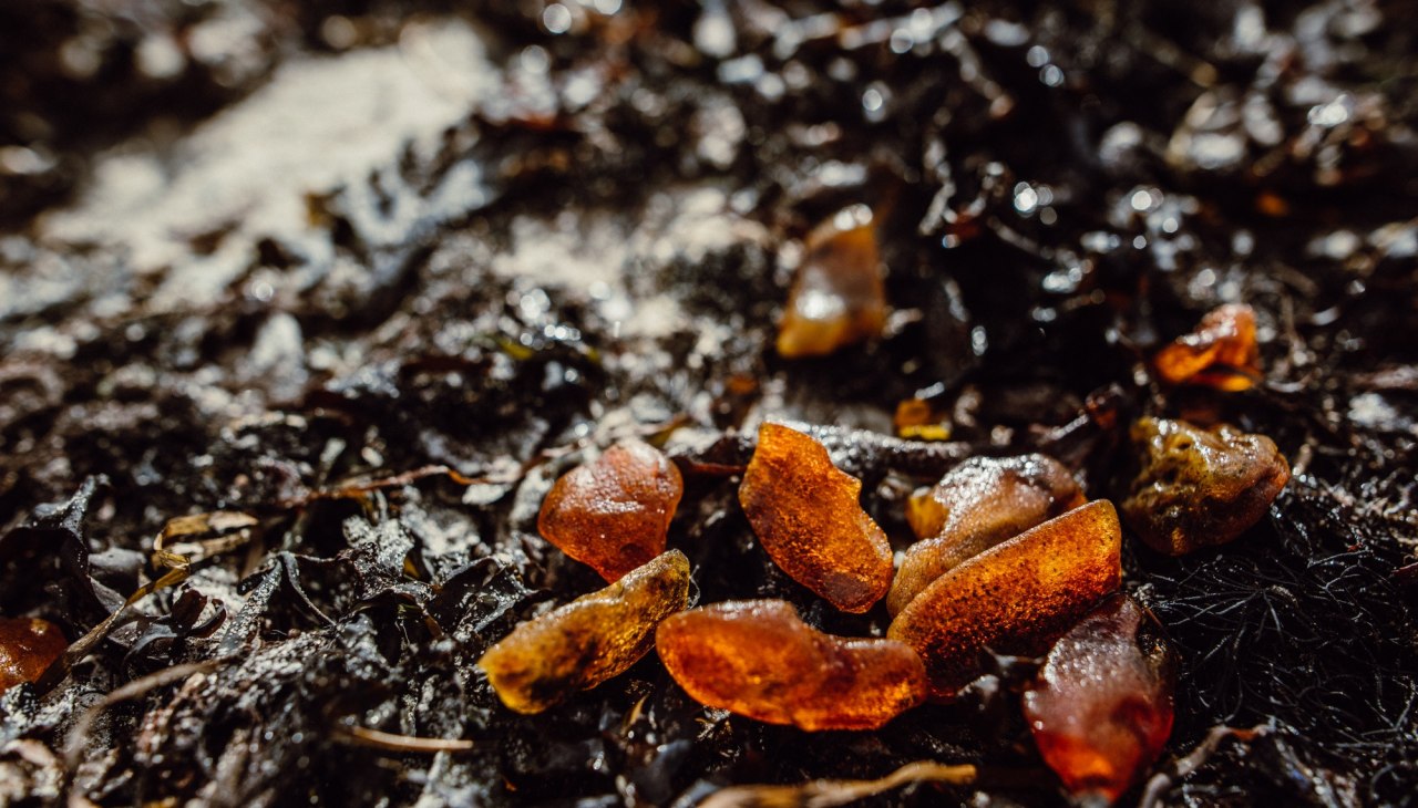 NaturWerkstatt: Bernsteinschleifen, © Binzer Bucht Tourismus NaturWerkstatt: Bernsteinschleifen, © Binzer Bucht Tourismus