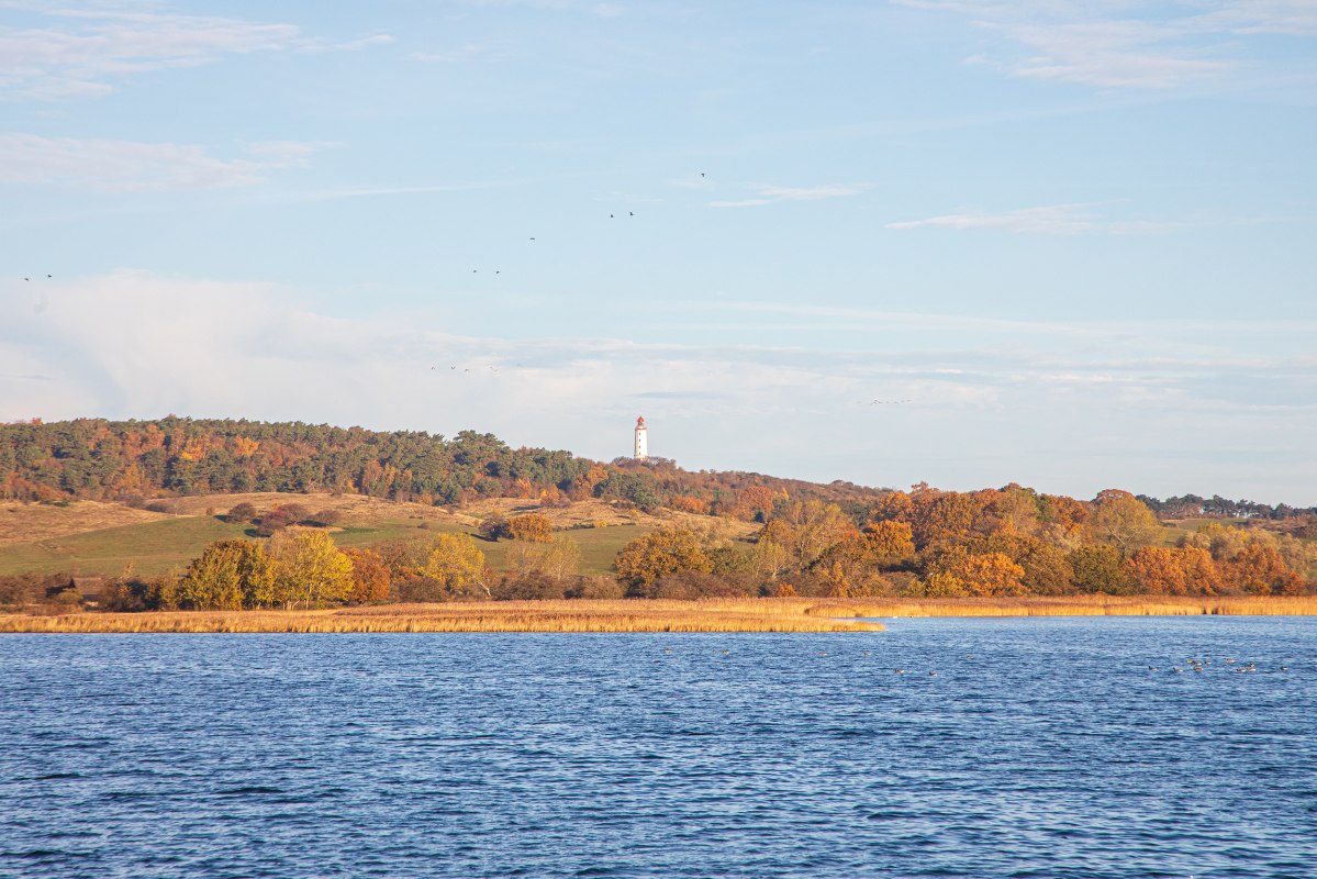 &copy; Wei&szlig;e Flotte GmbH