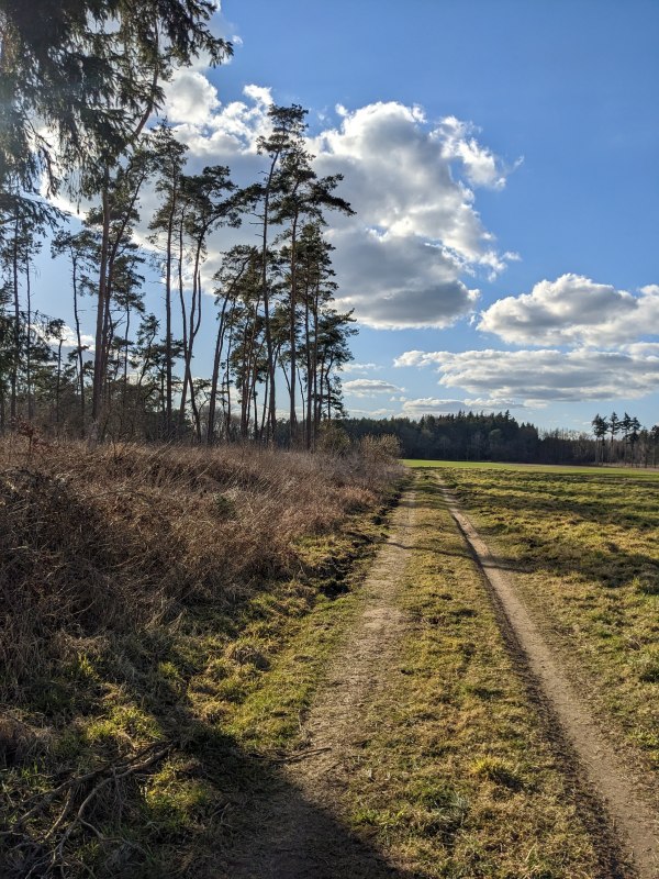 Streckenabschnitt an den Peenewiesen // &copy; Vincent-Gregor Schulze