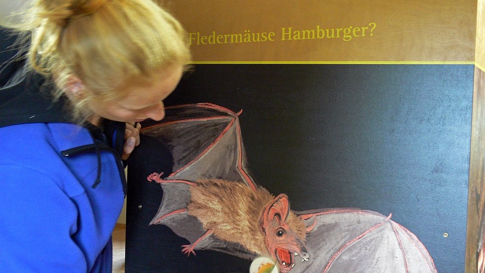 Entdecken Sie die Welt der Flederm&auml;use in der Nationalpark-Information Kratzeburg // &copy; Nationalparkamt M&uuml;ritz