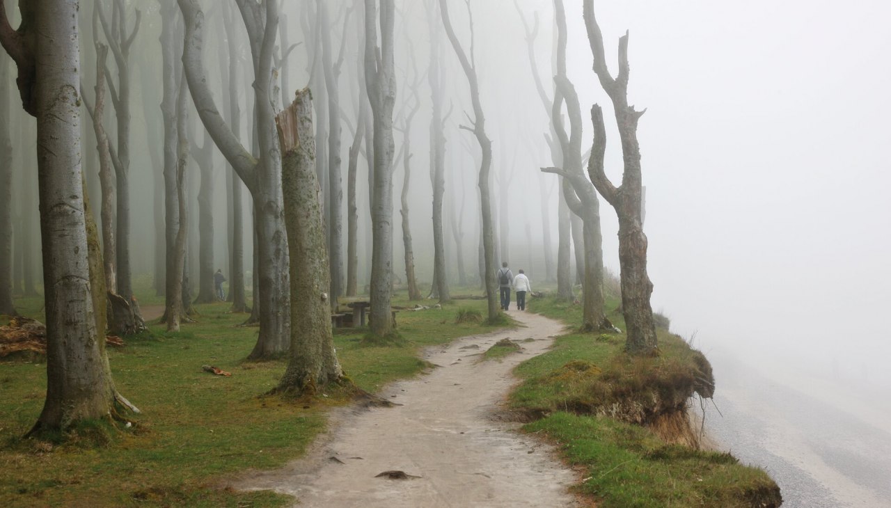 Die besondere Stimmung gibt dem Gespensterwald seinen Namen, © TMV/Grundner Die besondere Stimmung gibt dem Gespensterwald seinen Namen, © TMV/Grundner