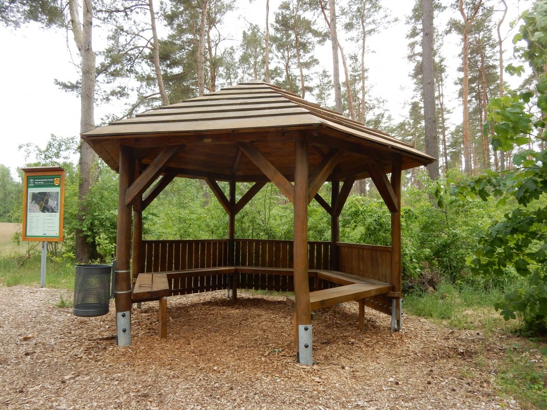 &copy; Rundbus Plauer See/ M. H&ouml;ppner