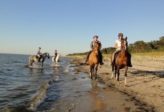 Gel&auml;nde- und Strandritte durch die vorpommersche Boddenlandschaft // &copy; Pferdesport Brauns