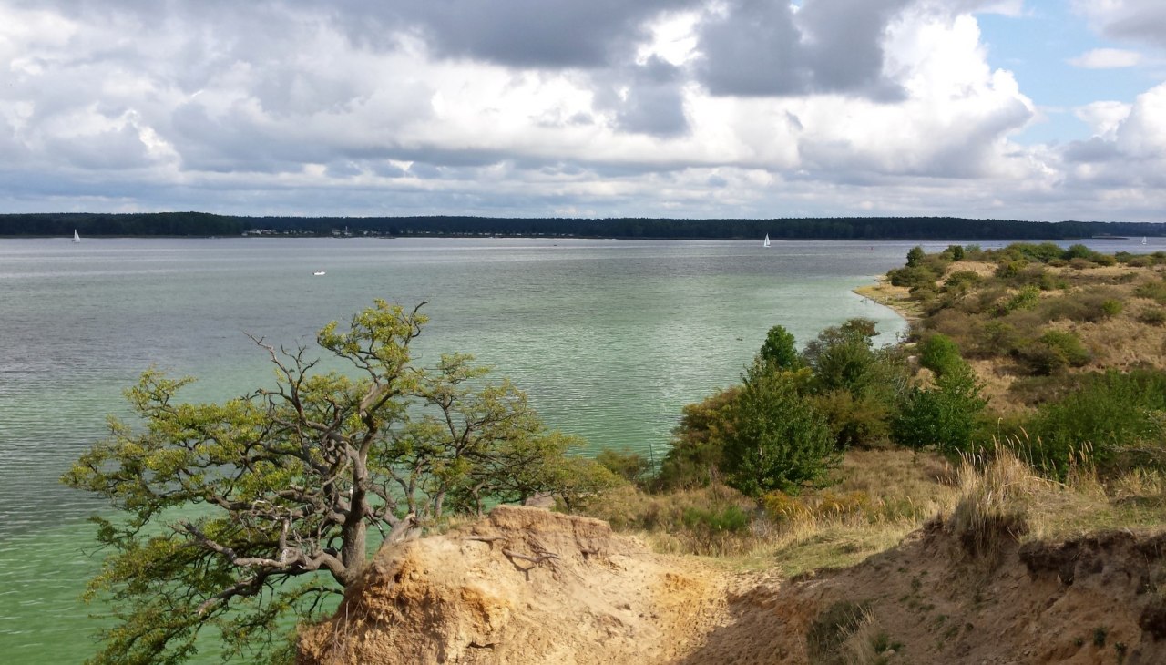 Devin, &copy; TZ HST / Kredl