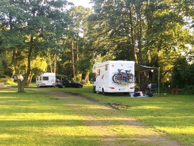 Stellplätze zwischen den Bäumen, © Wald- und Seeblick Camp Zislow