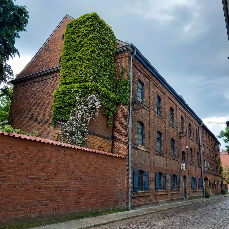 SPEICHER_Haus f&uuml;r: Kultur // &copy; SPEICHER