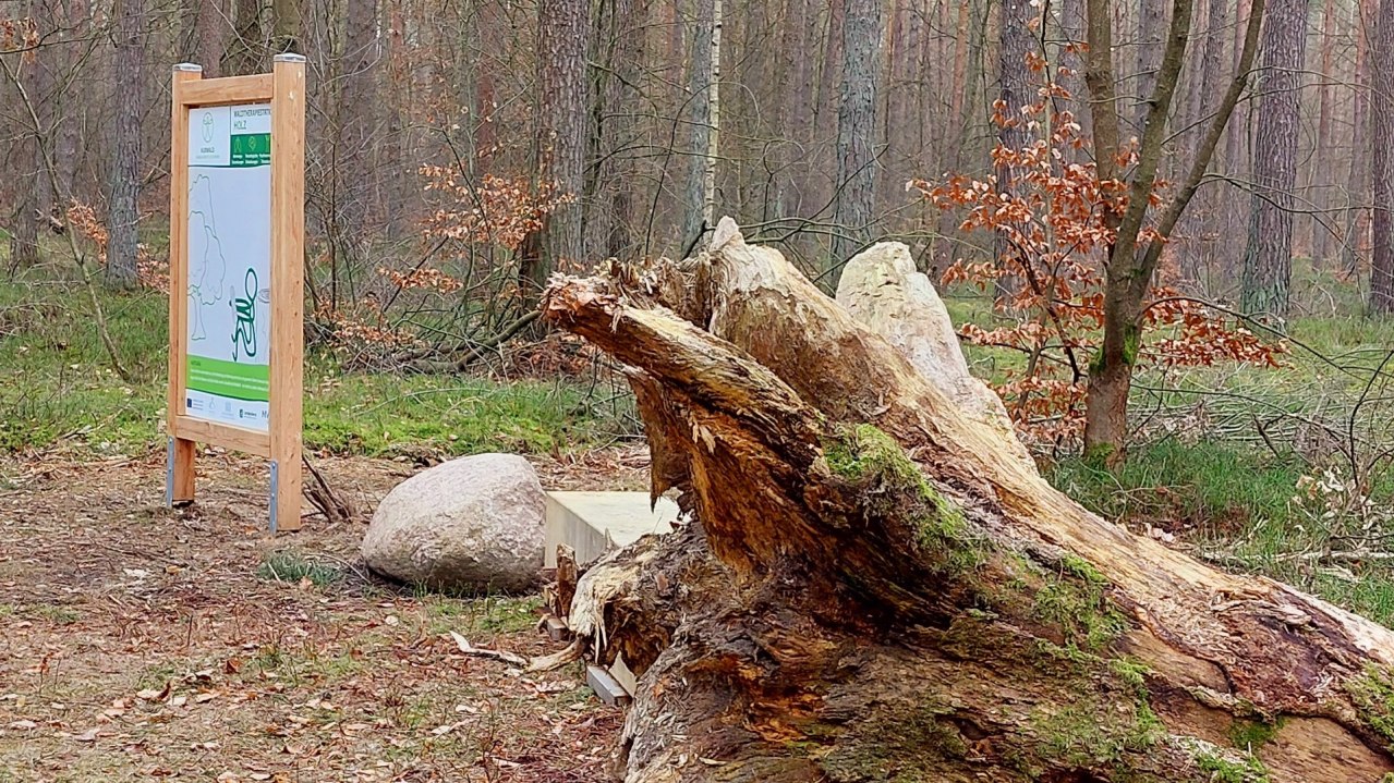 Kurwald 3 quer, &copy; Waren (M&uuml;ritz) Kur- und Tourismus GmbH