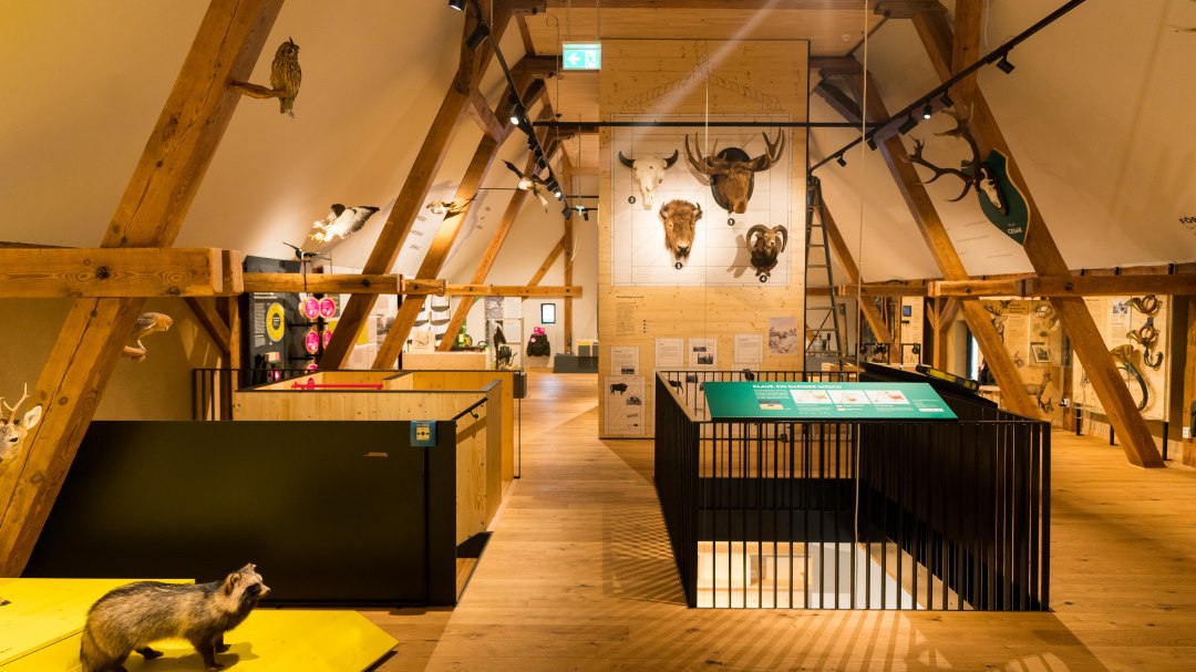 MUSEUM Alte Oberförsterei Born, © Moritz Kertzscher