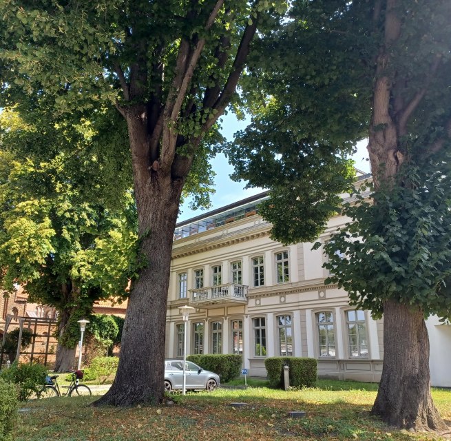 Ehemaliger Volksgarten in Stralsund // &copy; Angela Pfennig