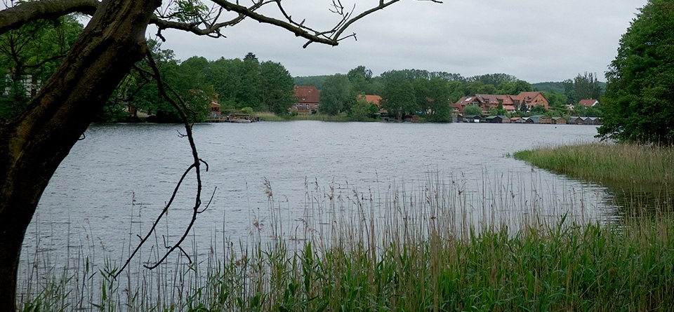 Am Feldberger Haussee, &copy; F. Krull