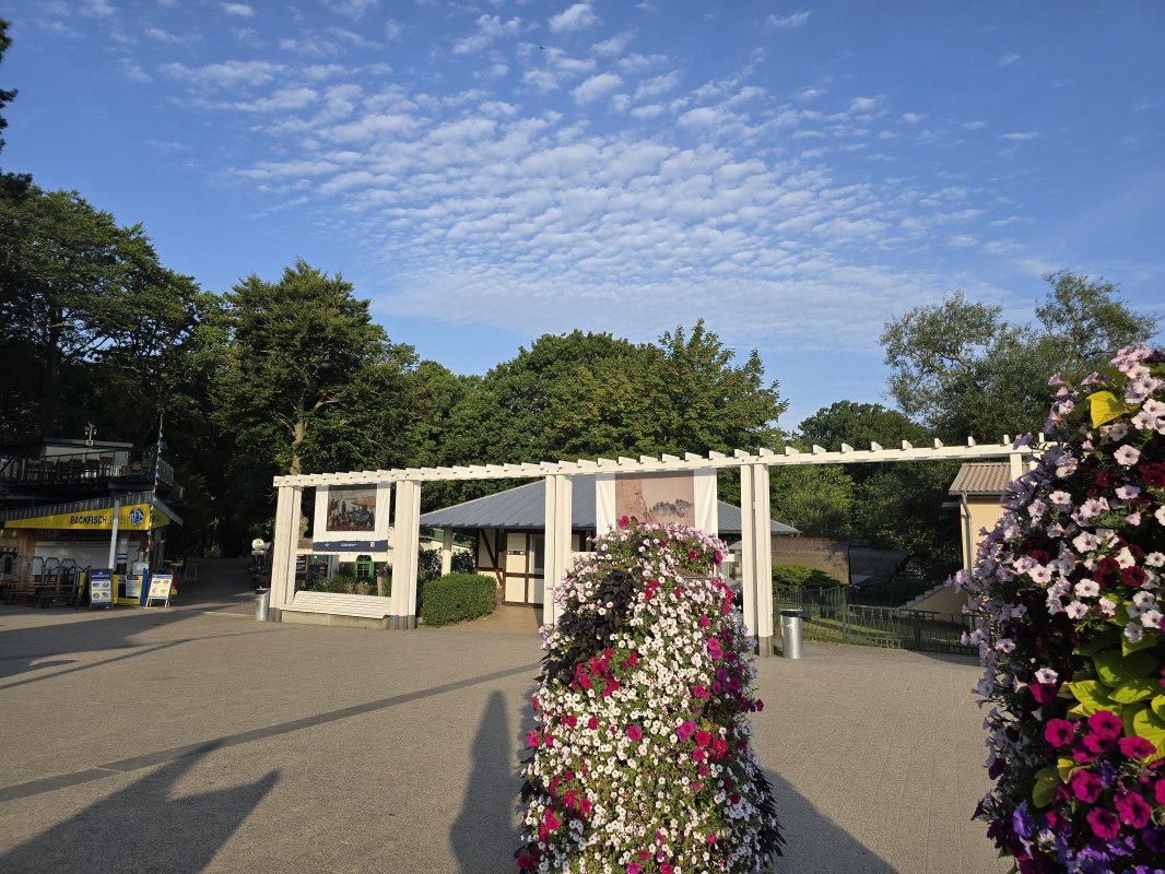 &copy; 20250807_073424.jpg