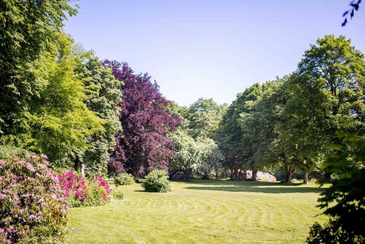 Rhododendronb&ouml;&uuml;te im Park // &copy; Herrenhaus Samow