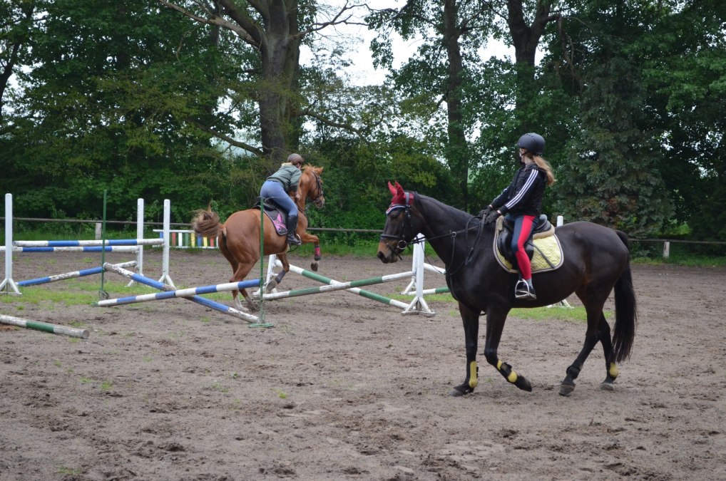 Im Reit- und Fahrverein Daugzin e.V. lernt man von der Pike auf das Reiten., © Karoline Görs Im Reit- und Fahrverein Daugzin e.V. lernt man von der Pike auf das Reiten., © Karoline Görs